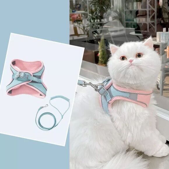 Other - 🎯 SALE🎯Cotton Candy Pet Harness and Leash Set
